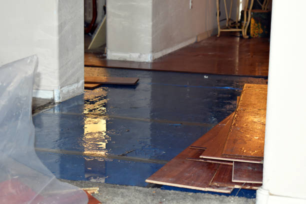 Professional Basement Flood Cleanup technician working in White Hall, IL